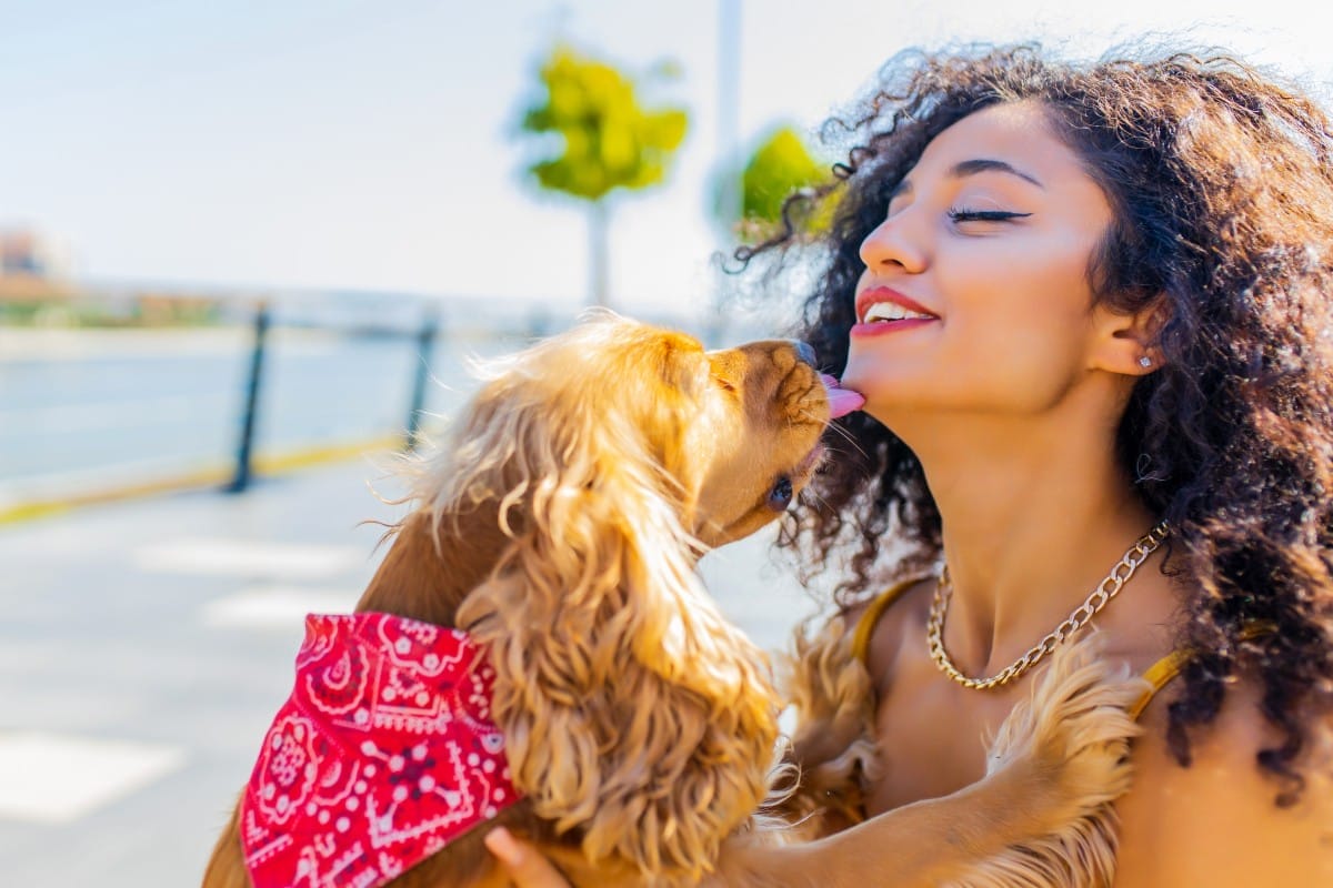 cheerful dark long curly haired woman with american cocker dog playing in summer park