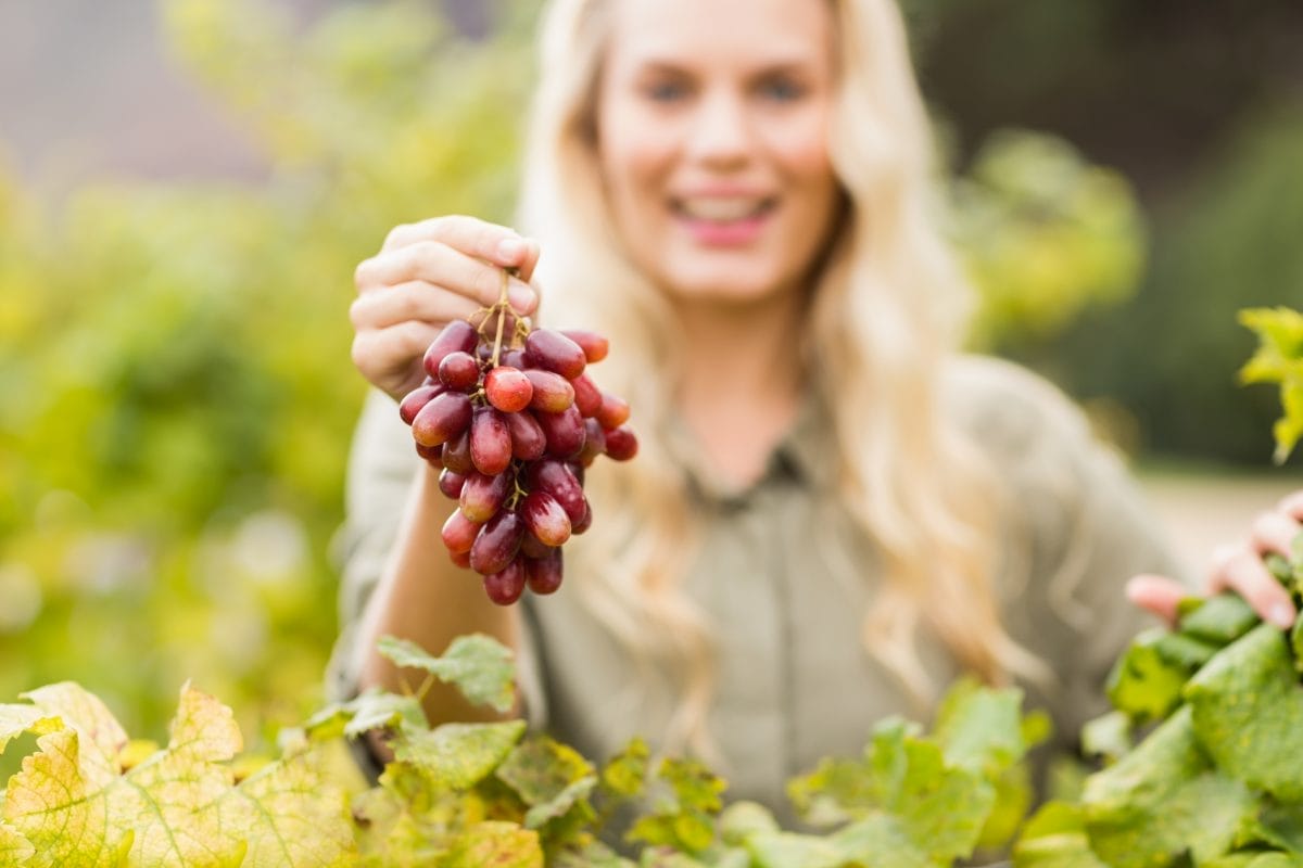 portrait of a smiling blonde winegrower holding a red grape