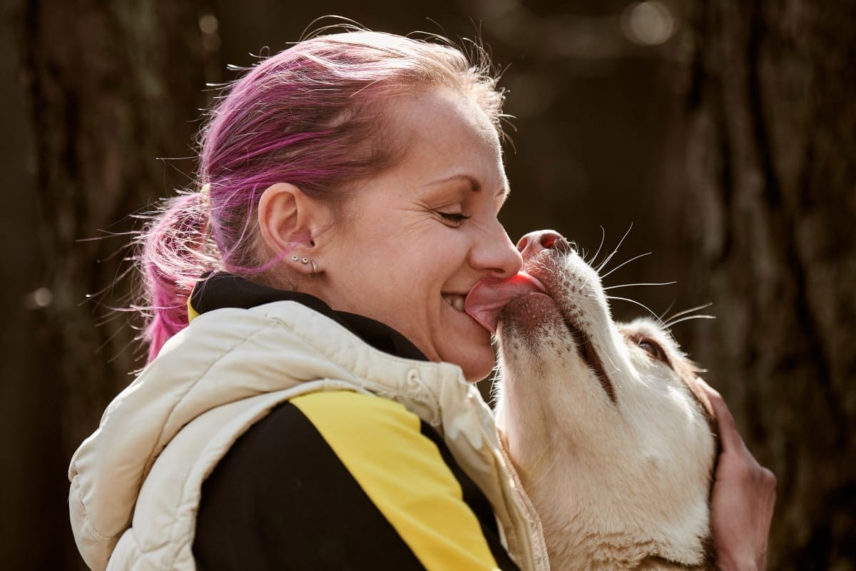 siberian husky dog kissing woman with pink hair, true love of human and pet, funny meet