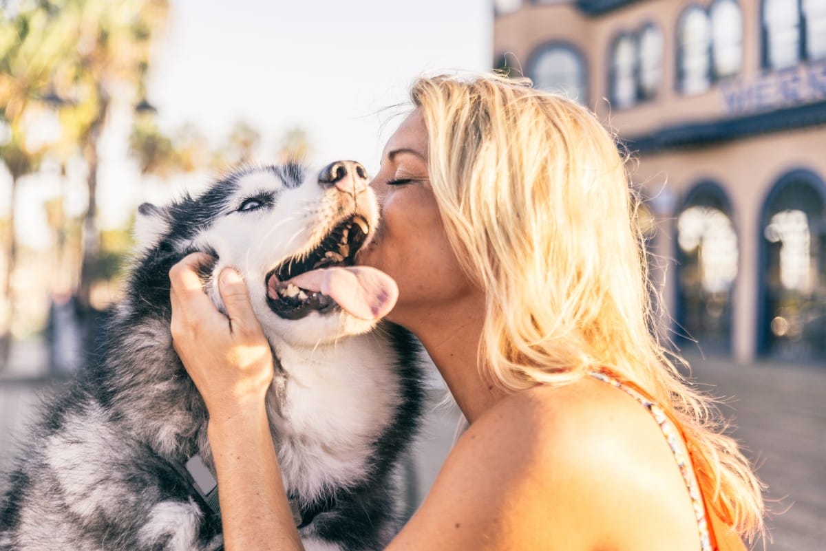 woman playing with dog