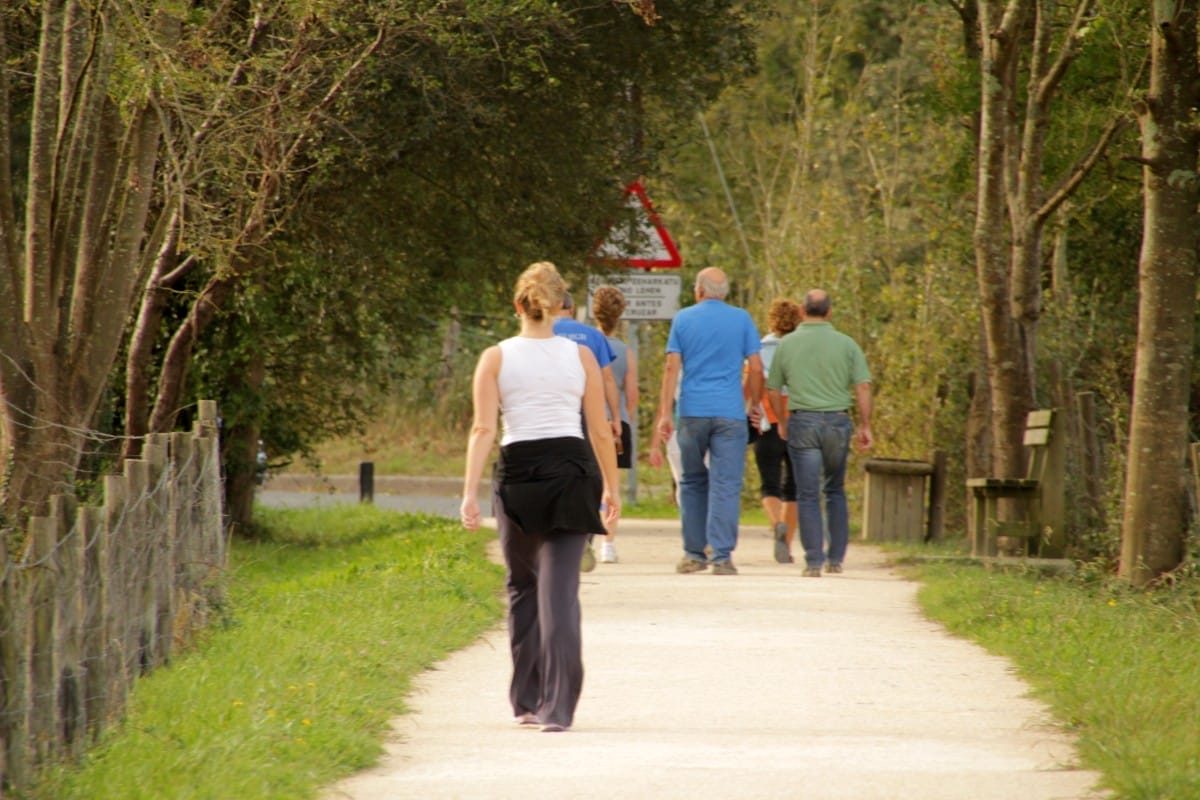 a group of people walk down the path in the park