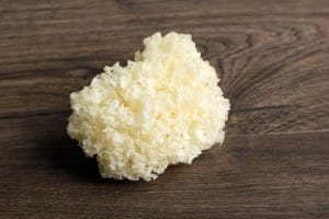 fresh white fungus (tremella fuciformis)