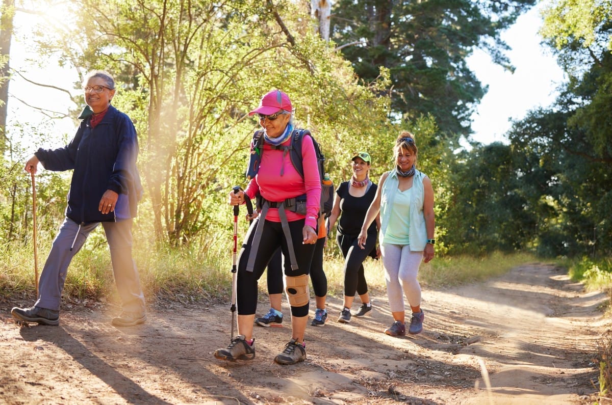 hiking walking and senior women in a forest or wo 2023 11 27 05 14 32 utc