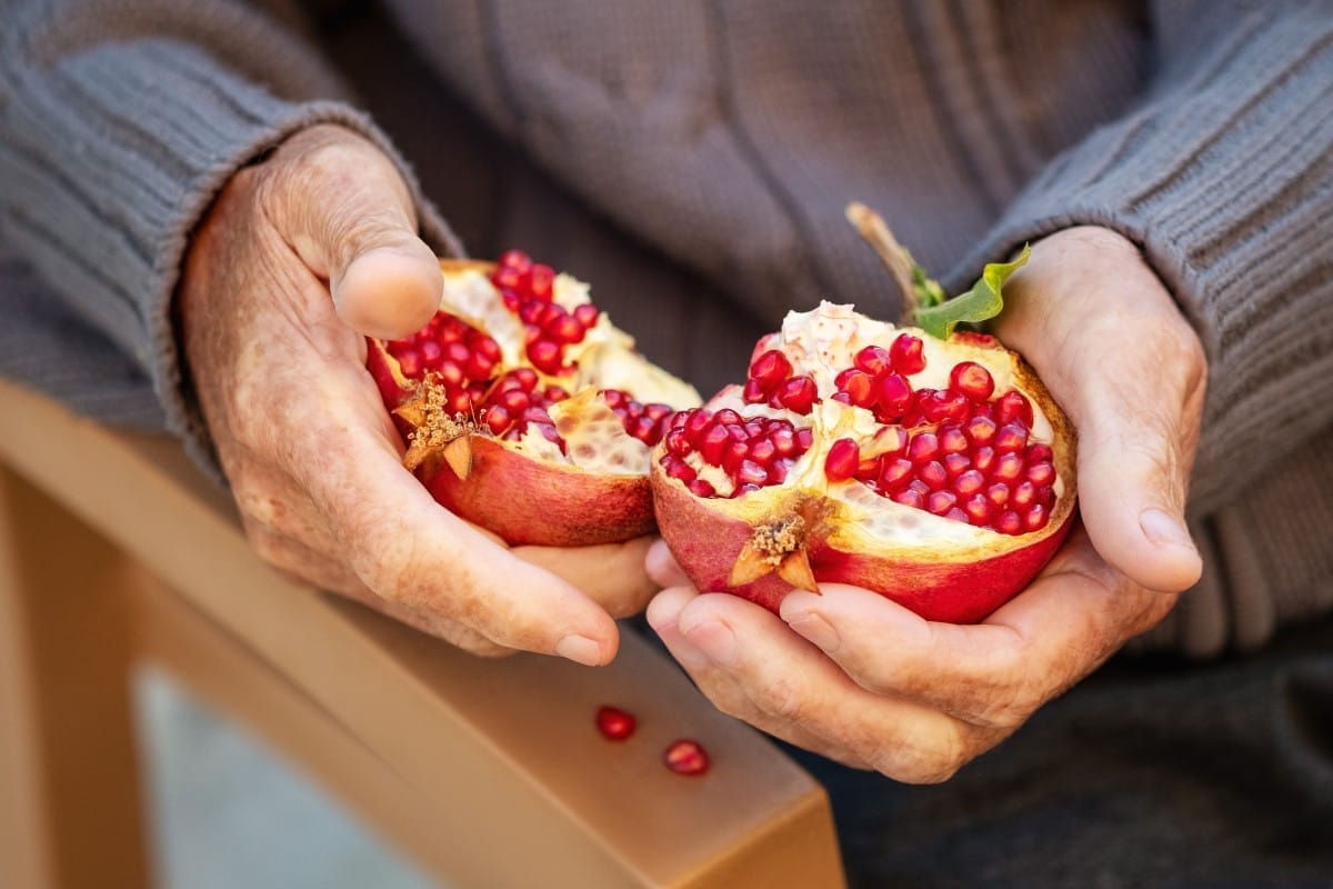 pomegranate in senior hands close up 2023 11 27 05 22 03 utc