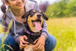 portrait of a young girl with a cute dog sitting on a sunny spring day in a flower meadow