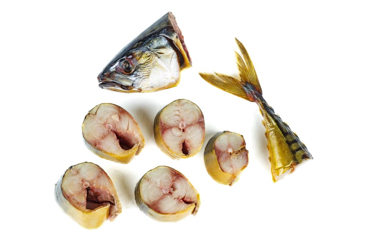 pieces of smoked atlantic mackerel scombre isola 2023 11 27 05 11 12 utc