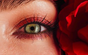 Close-up of eye with red makeup and rose petals