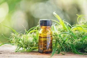 Cannabis oil bottle amidst fresh plants