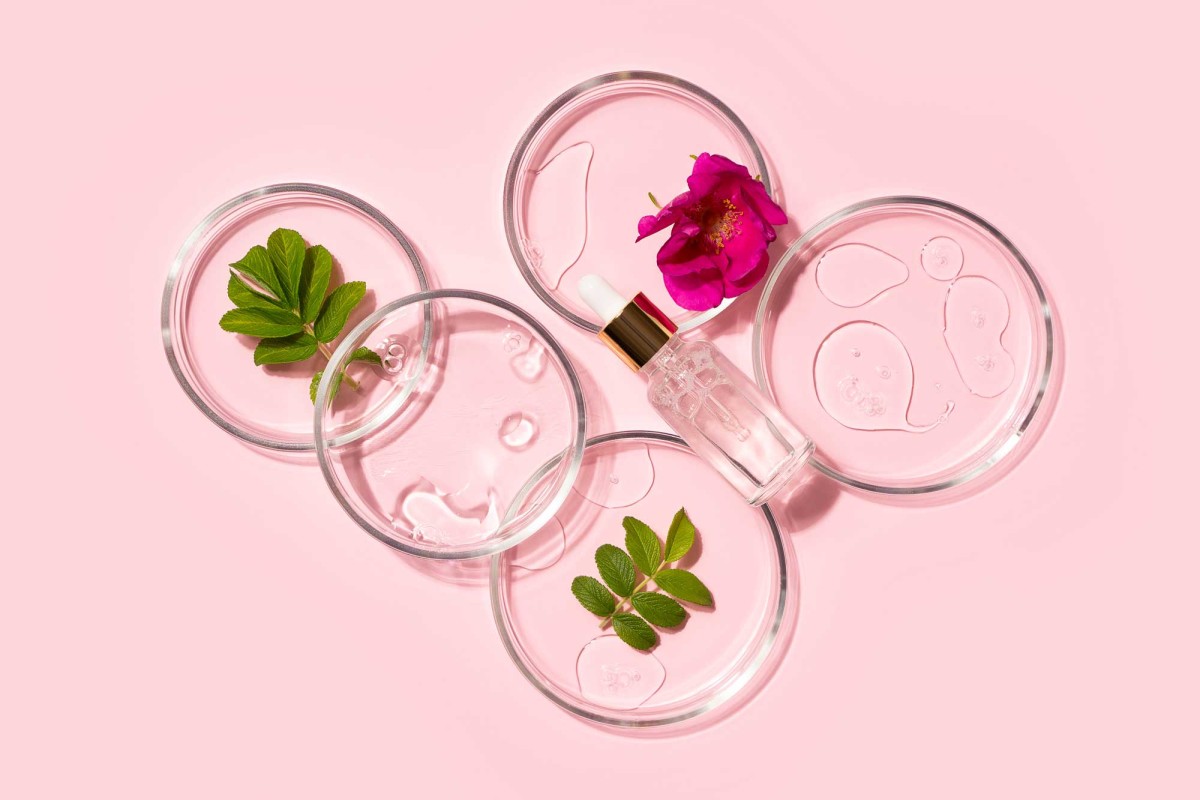 Petri dishes with plants and skincare serum on pink