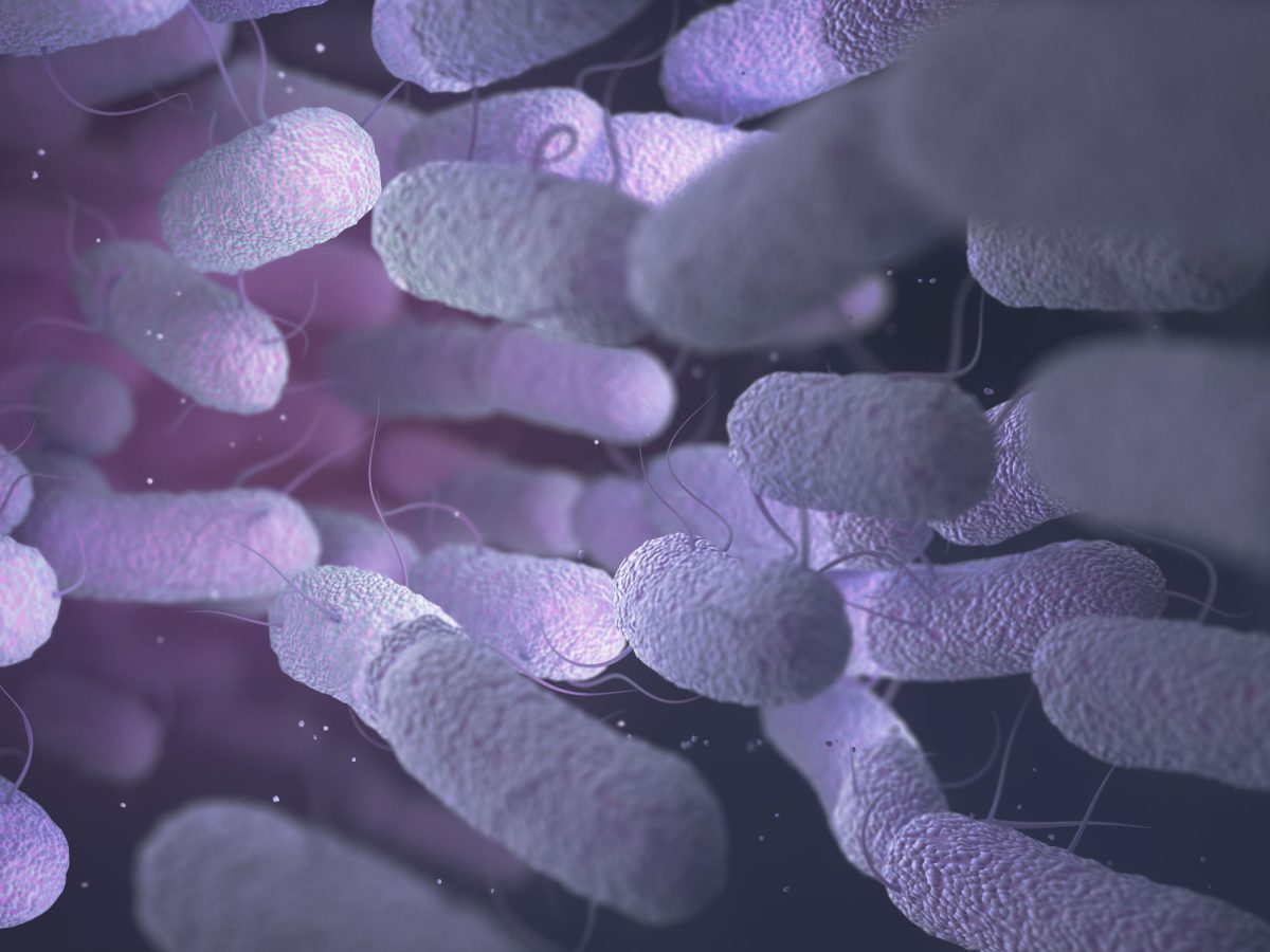 Close-up view of bacteria with flagella in purple hues