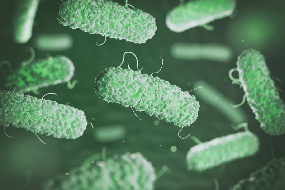 Detailed green bacteria cells with flagella floating